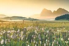 九游游戏中心下载app-九游游戏中心，遨游无限游戏世界的新起点