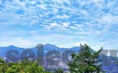 开云体育是诈骗吗-开云体育是否涉及诈骗的全面审视
