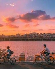 乐鱼体育ios哗98db in-重塑智能互联新体验，乐鱼体育在iOS平台的革新探索